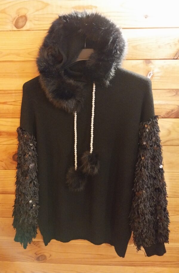 Pull avec Capuche